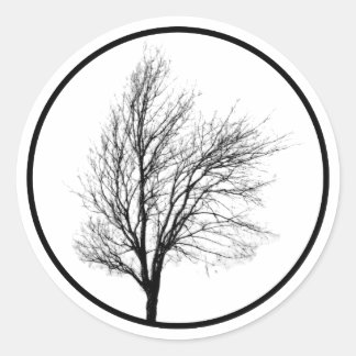 Rond Sticker Silhouette Arbre Nu