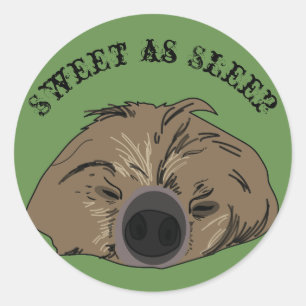 Rond Sticker Sloth Art