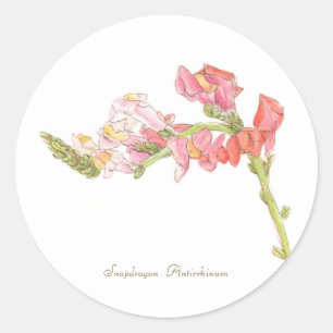 Rond Sticker Snapdragon