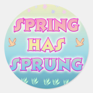 Rond Sticker Spring With Sprung