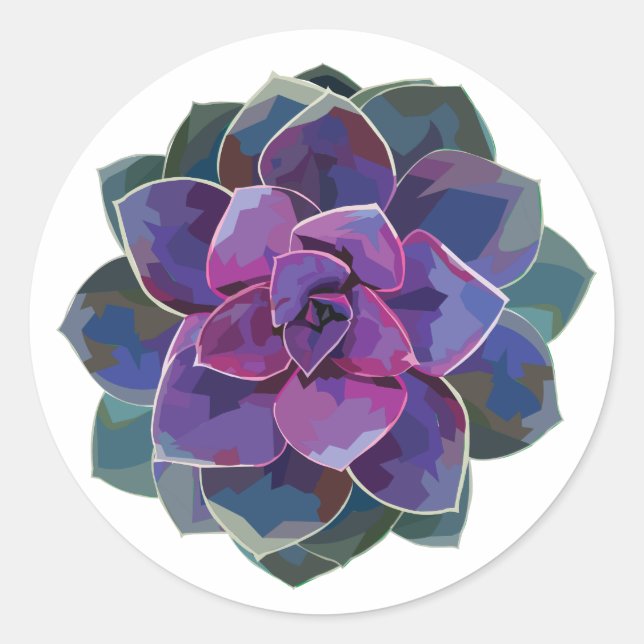 Rond Sticker succulent (Devant)