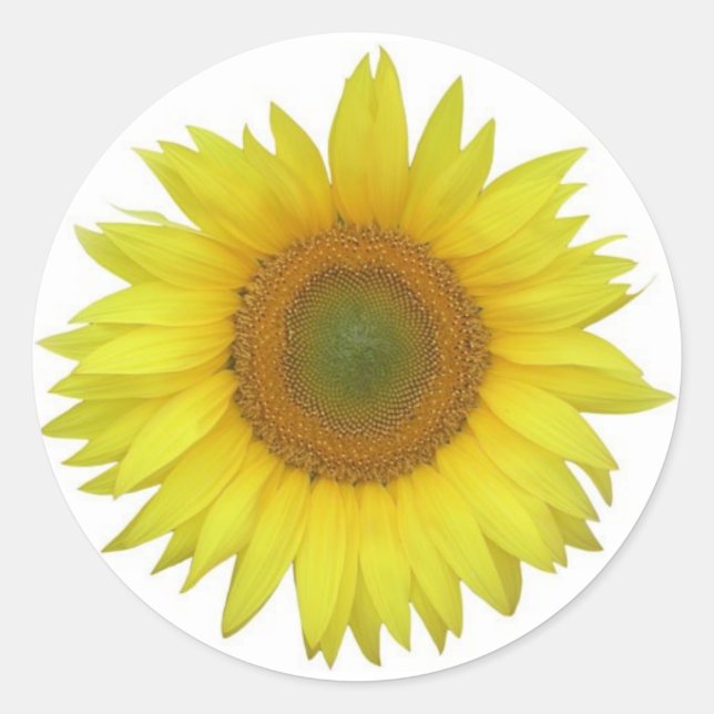 Rond Sticker tournesol (Devant)