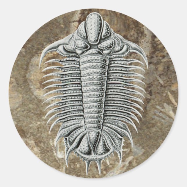 Rond Sticker Trilobite (Devant)