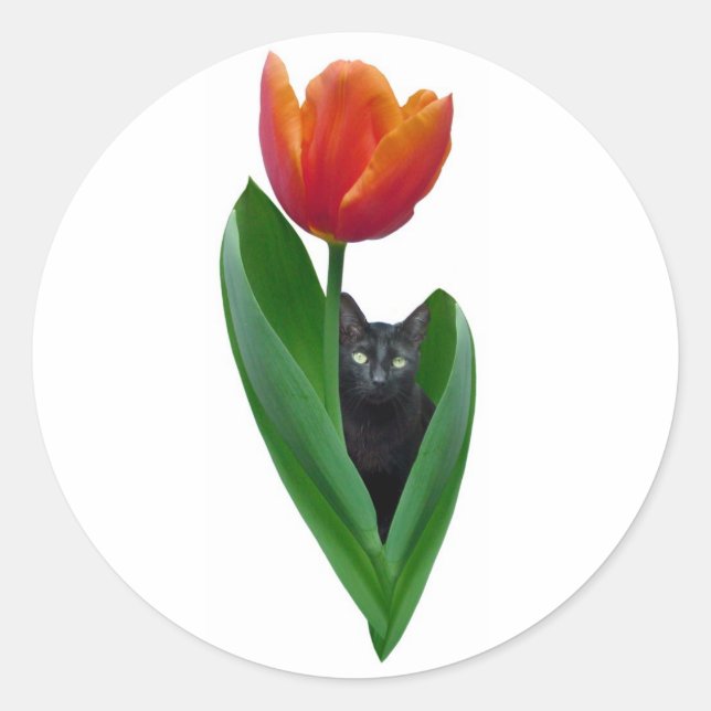 Rond Sticker Tulip Cat (Devant)