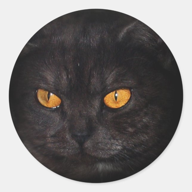 Rond sticker Venezia Cat (Devant)