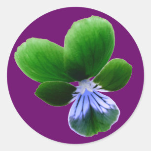 Rond Sticker vert