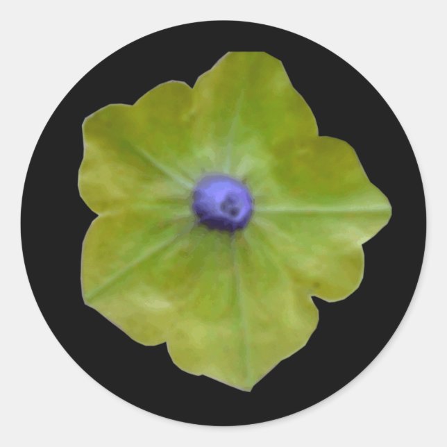 Rond Sticker vert et bleu Petunia (Devant)