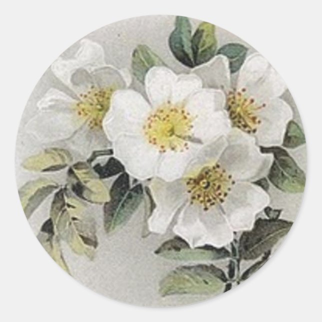 Rond Sticker vintage Apple Blossom (Devant)
