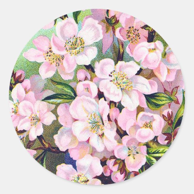 Rond Sticker vintage Apple Blossoms (Devant)
