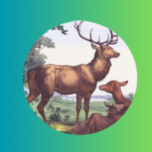 Rond Sticker Vintage ronde de la famille des cerfs
