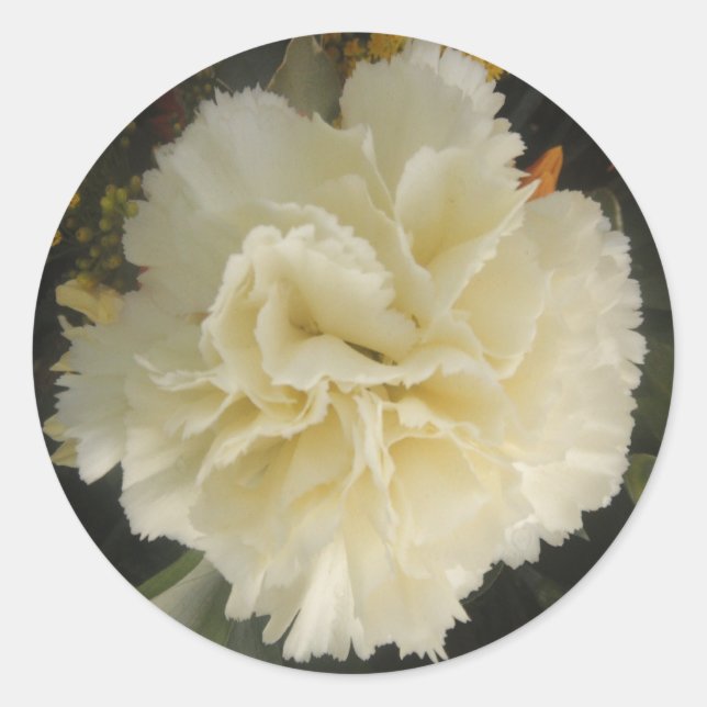 Rond Sticker White Carnation Beauté (Devant)