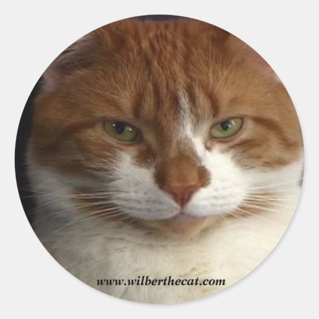 Rond Sticker Wilber (Devant)