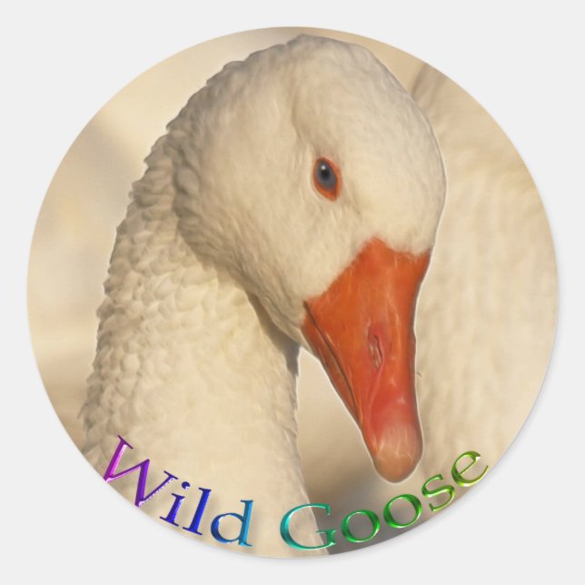 Rond Sticker Wild White Oose Bird Wildlife (Devant)