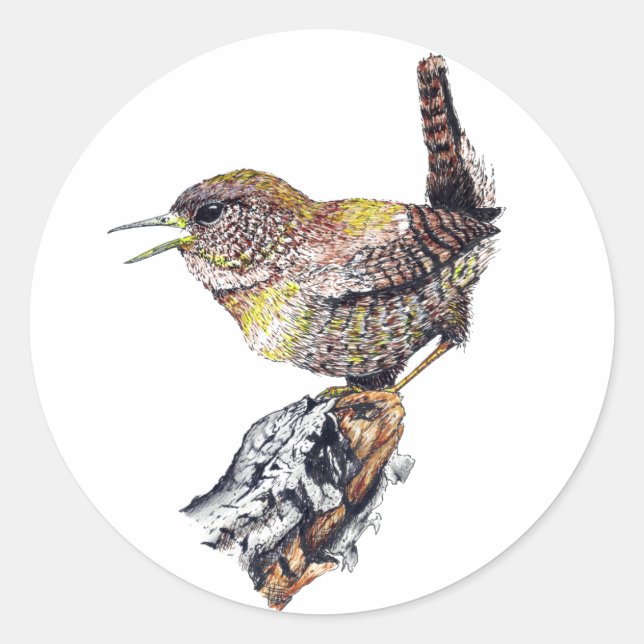 Rond Sticker Wren (Devant)