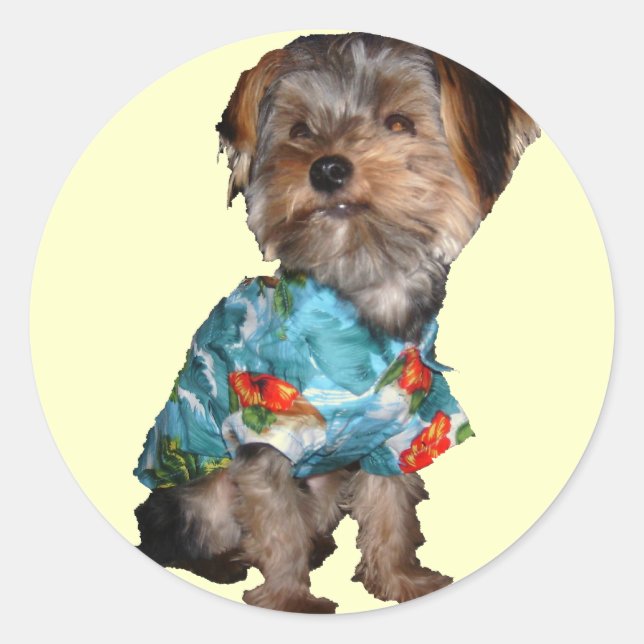 Rond Sticker Yorkie Hawaïen (Devant)