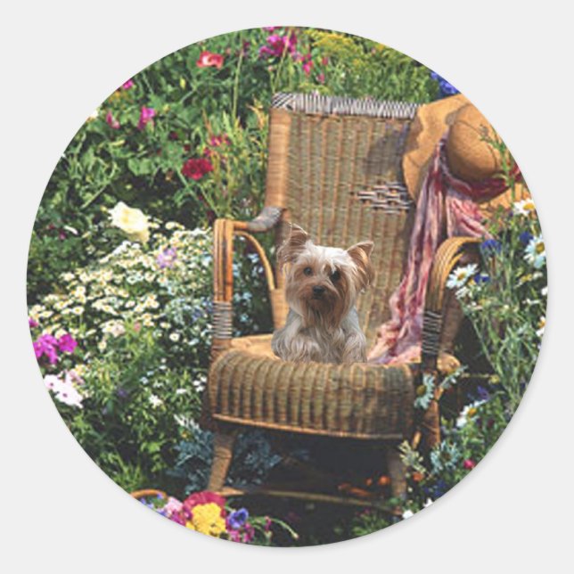 Rond Sticker Yorkshire Terrier Jardin (Devant)