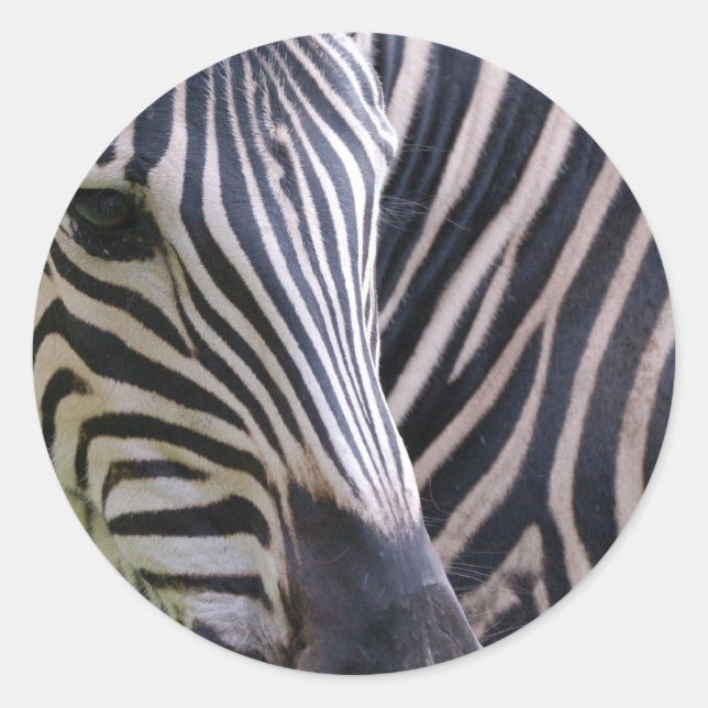 Rond Sticker Zebra (Devant)