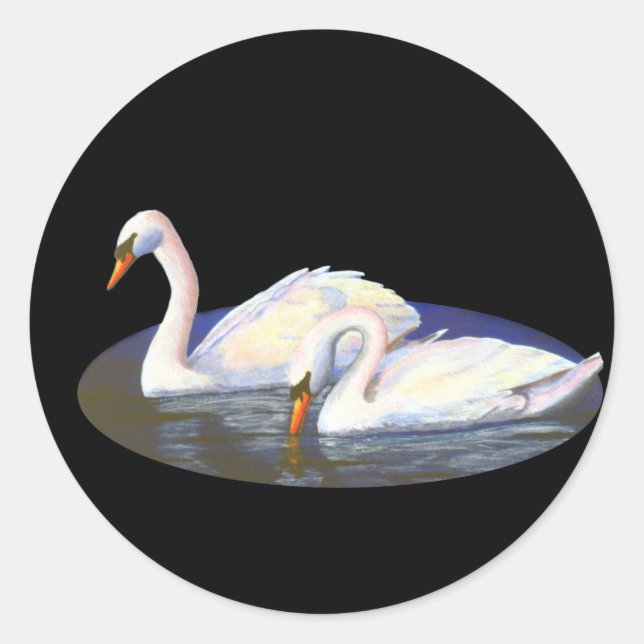 Rond Swan Reflections Sticker (Devant)