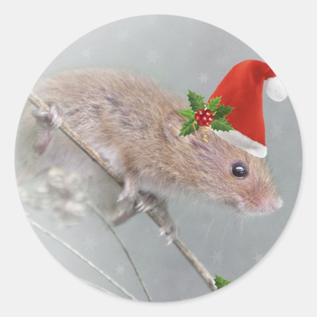 Rond Tous ensemble pour Sticker Père Noël (Devant)