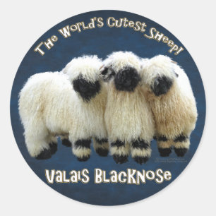 Rond Valais Blaccusé - Sticker à mouton le plus tranc