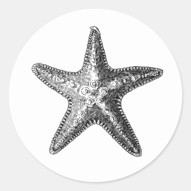 Rond vie marine "STARFISH" ENVELOPE SEAL STICKER (Devant)