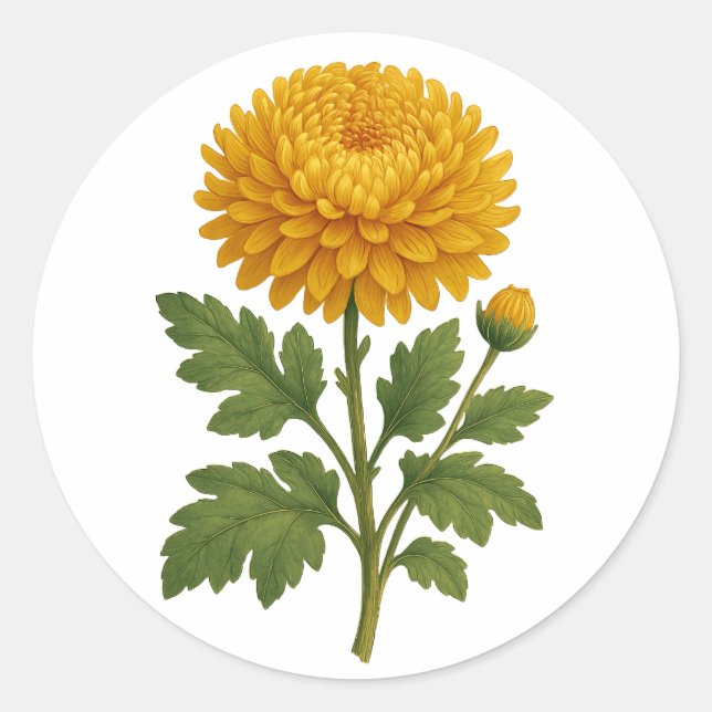 Rond Vintage Chrysanthemum sticker - round (Devant)