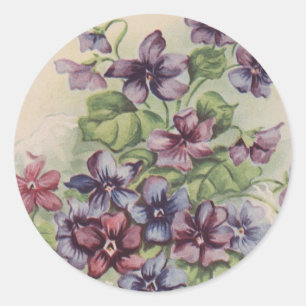 Rond Violets - Sticker