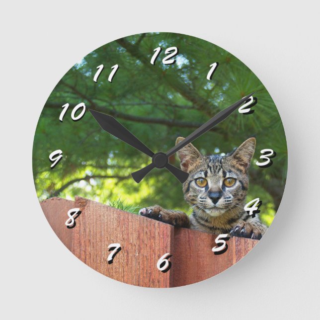 Ronde 12 Nombre de choix à choisir : horloge de chat (Recto)