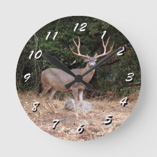 Ronde 12 Nombre de choix : horloge de cerfs sauvages