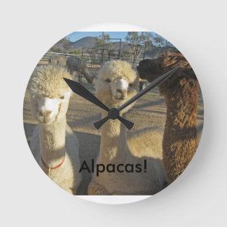 Ronde Alpaga ! Horloge