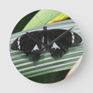 Ronde Horloge à papillon tropical noir et blanc