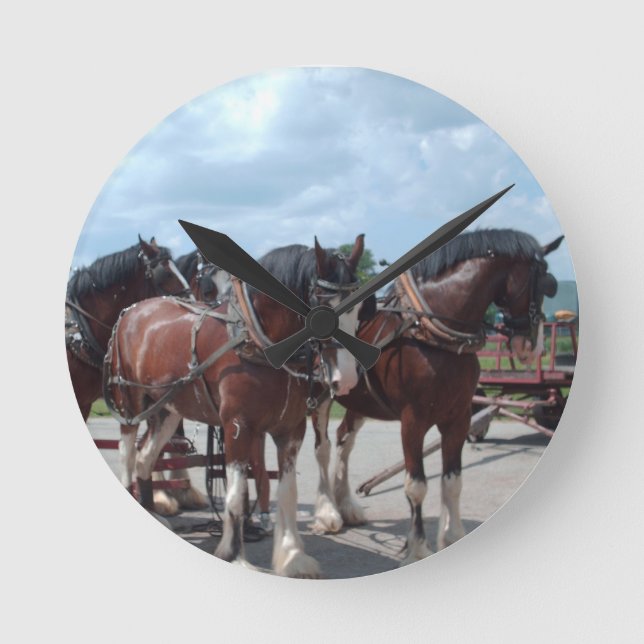 Ronde Horloge de cheval de Clydesdale (Recto)