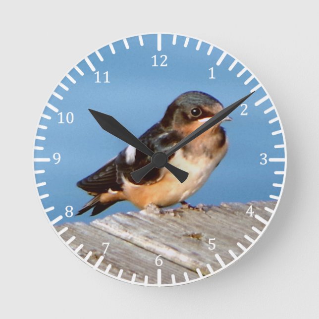 Ronde Horloge de la grange Swallow (Recto)