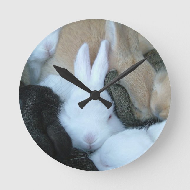 Ronde Horloge de lapins de lapin de bébé de MHRR (Recto)