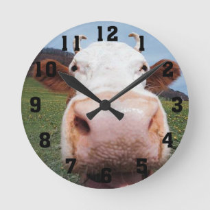 Ronde Horloge de nez de vache