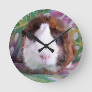 Ronde Horloge de porc