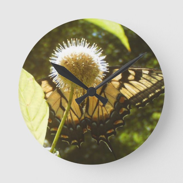 Ronde Horloge des fleurs du monarque de juin (Recto)