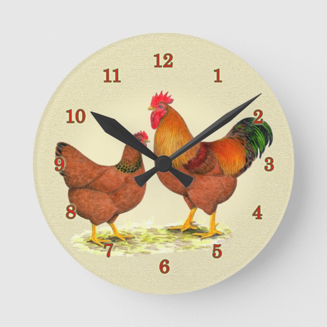 Ronde Horloge des poulets du New Hampshire (Recto)