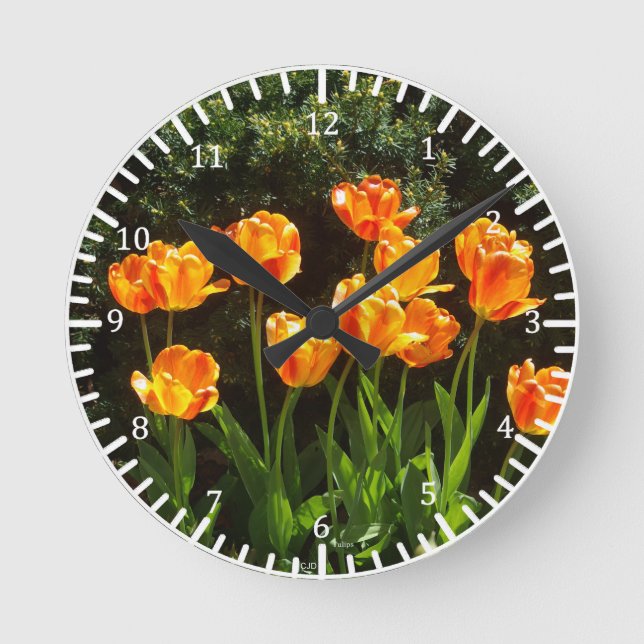 Ronde Horloge des Tulipes Jaunes (Recto)