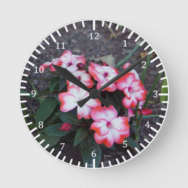 Ronde Horloge des volets roses (Recto)