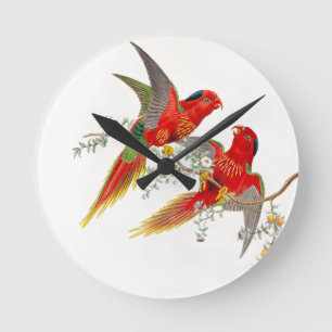 Ronde Horloge d'oiseaux de Goulds Lorikeet