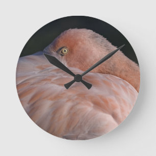 Ronde Horloge flamant rose dormant