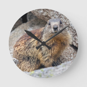 Ronde Horloge Marmotte Alpine