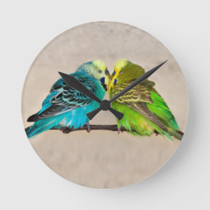 Ronde Horloge Perruches en Amour