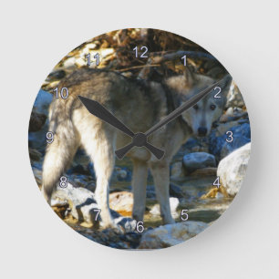 Ronde Horloge photo Gray Wolf & Stony Creek