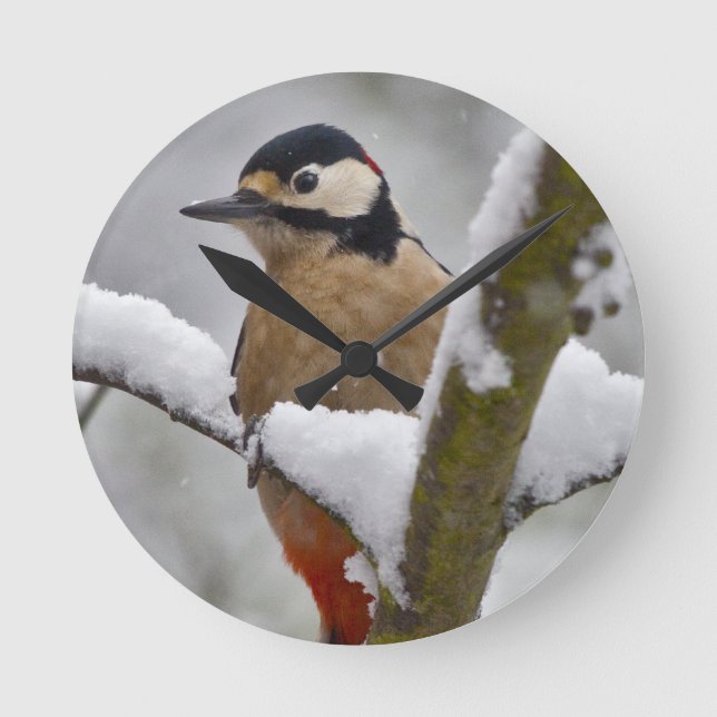Ronde Horloge Pic Hiver (Recto)