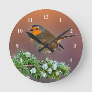 Ronde Horloge Robin