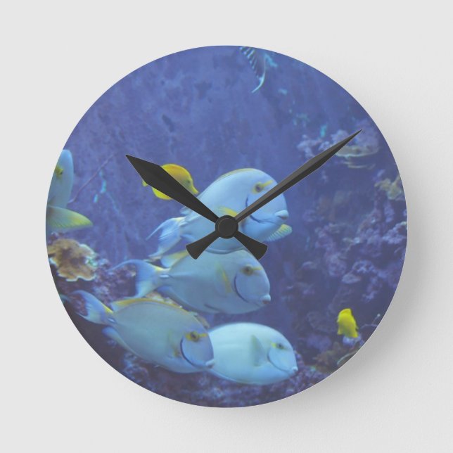 Ronde Horloge tropicale des poissons (Recto)