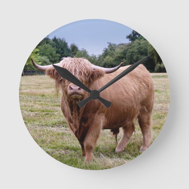 Ronde Horloge Vache des Highlands (Recto)