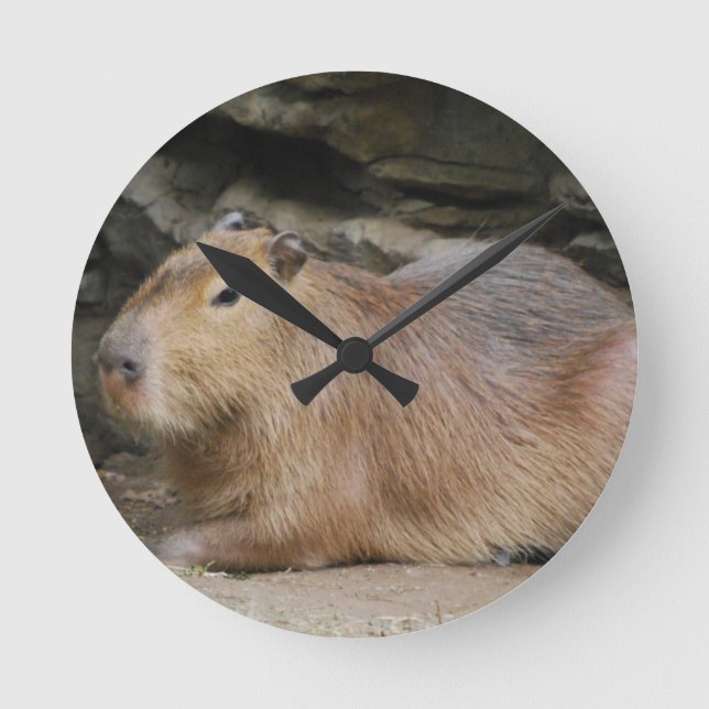 Ronde Horloge Wild Capybara (Recto)